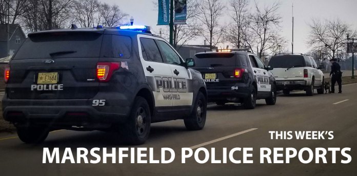 police reports marshfield wi